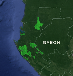 Carte des plantations d'hévéa au Gabon